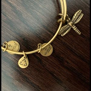 Alex and Ani Bracelet Dragonfly